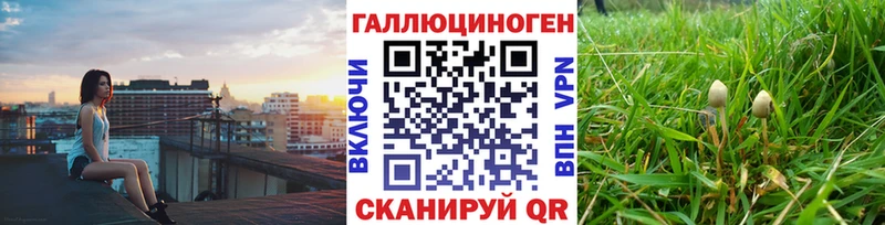 Галлюциногенные грибы MAGIC MUSHROOMS  Горбатов 